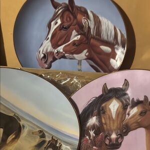 Decorative Horse Plates Set
